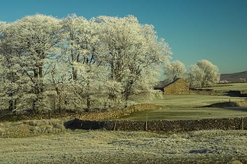 Farm Images